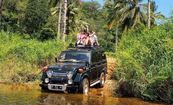 Hutan tropis yang rimbun di Meru Betiri, Banyuwangi