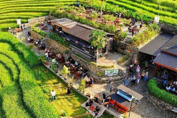 3 Wisata Kuliner Kulonprogo Viral 2025: Tradisional & Pemandangan