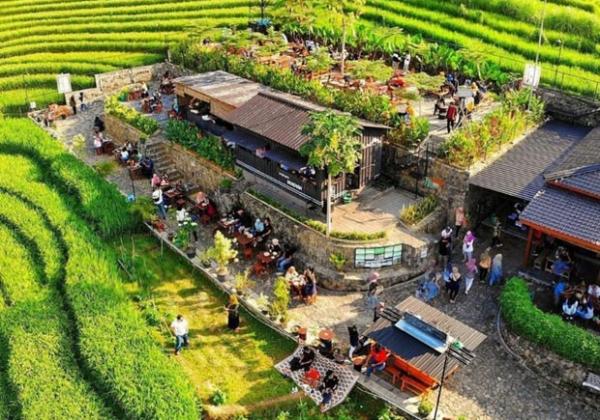 3 Wisata Kuliner Kulonprogo Viral 2025: Tradisional & Pemandangan
