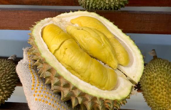 Malaysia Klaim Durian Buah Nasional? Ini Faktanya! | Kuliner