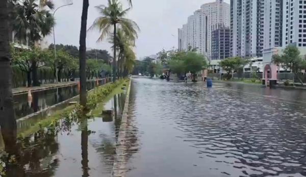 Banjir Rob Ancol: Kondisi Terkini & Upaya Penanganan