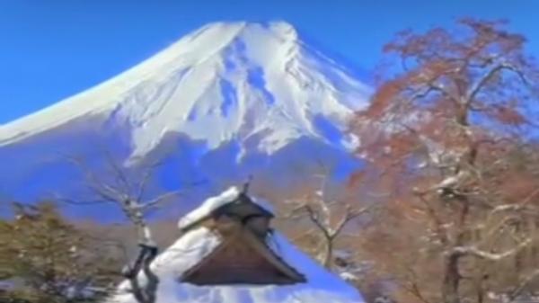 Wisata Jepang Aman Gempa? Ini Fakta Megaquake Advisory!