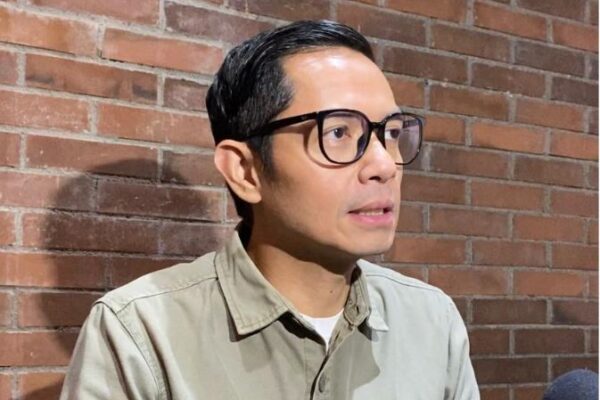 Klarifikasi Dude Harlino DSI: Peran, Keprihatinan, & Harapan