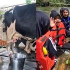 Pengalaman Jadi Guru TK Azia Riza: Dari Outbond Sampai Sawah