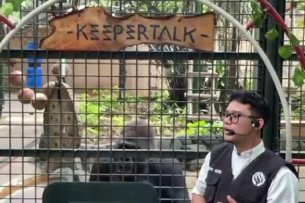 Liburan Seru di Ragunan: 70.000 Pengunjung Diprediksi Padati!
