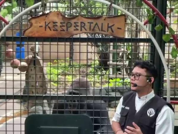 Liburan Seru di Ragunan: 70.000 Pengunjung Diprediksi Padati!