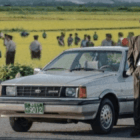 Drama Korea Thriller 2026