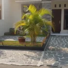 teras rumah subsidi - ilustrasi berita 6 Inspirasi Teras Rumah Subsidi dengan Batu Alam dan Palem Kuning, Tampil Asri…