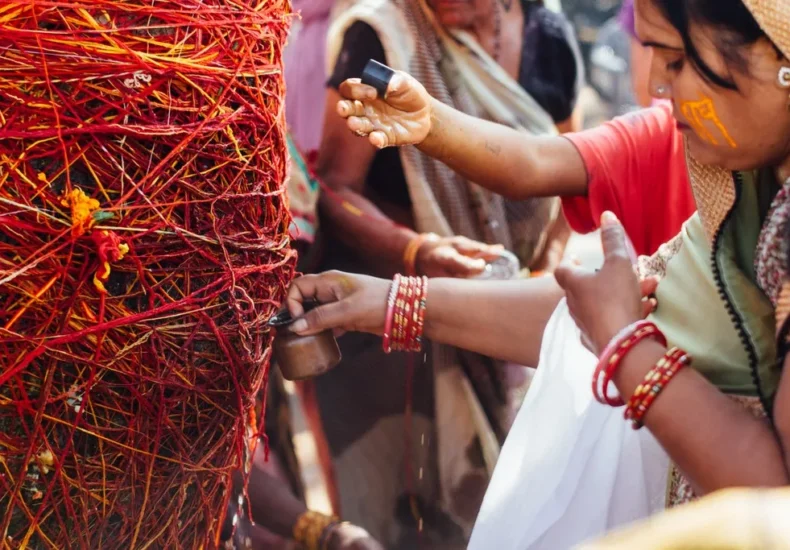 festival hindu alam - ilustrasi berita Sepuluh festival Hindu alam yang merayakan dan merawat makhluk hidup